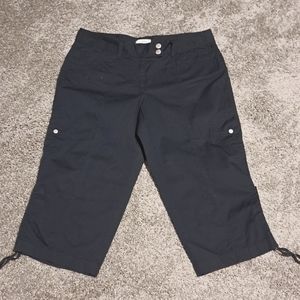 Ann Taylor Loft Navy Capri